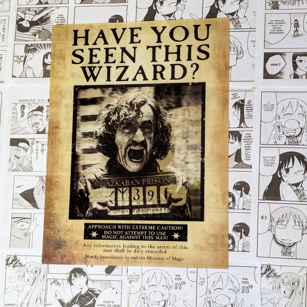 Poster 3D Sirius Black