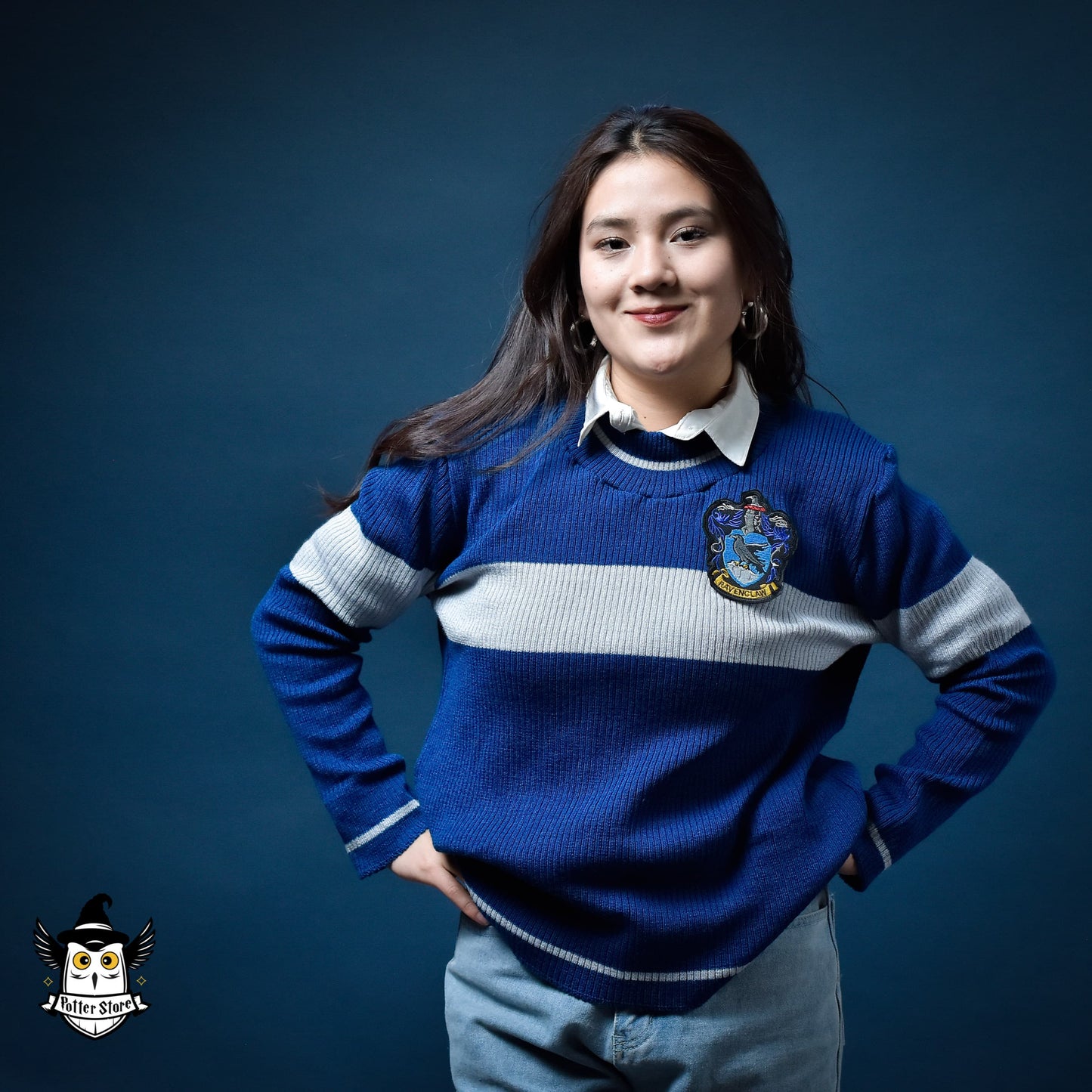 Suéter Quidditch Ravenclaw