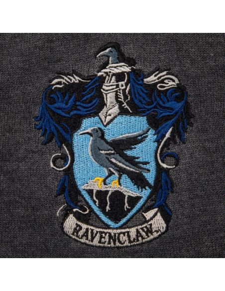 Accesorios Ravenclaw