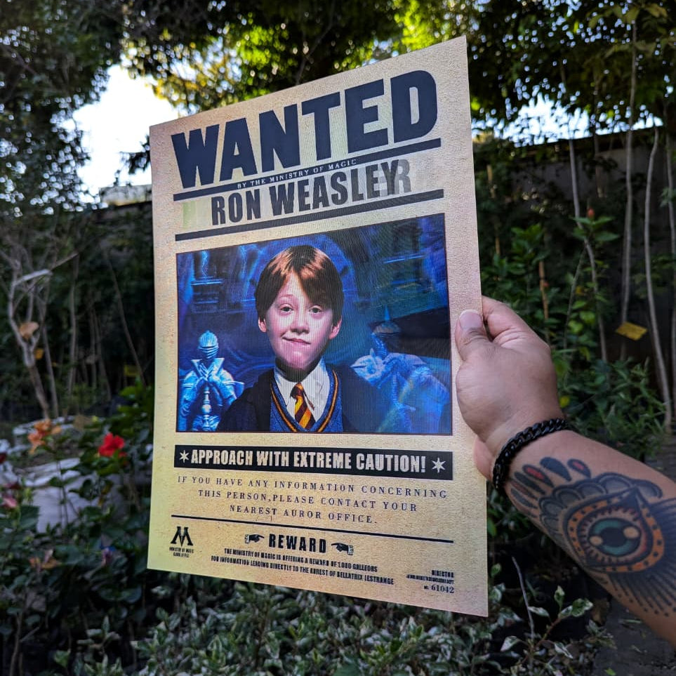 Poster Harry Potter 3D