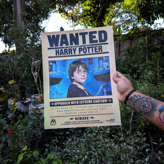 Poster Harry Potter 3D