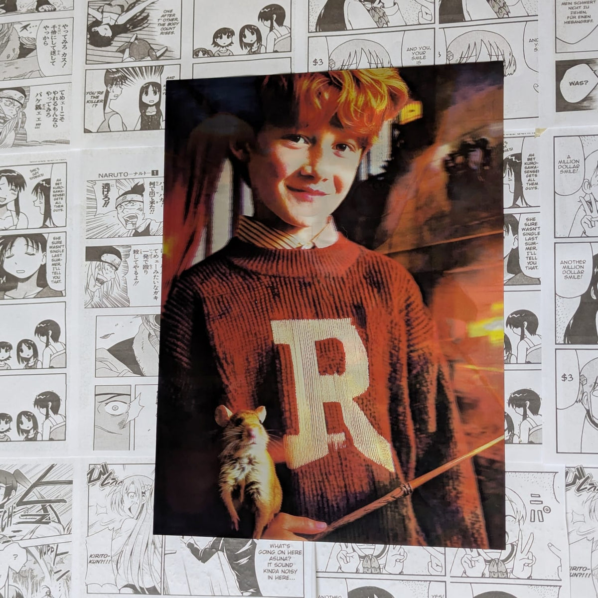 Poster 3D Harry Potter Serie 1