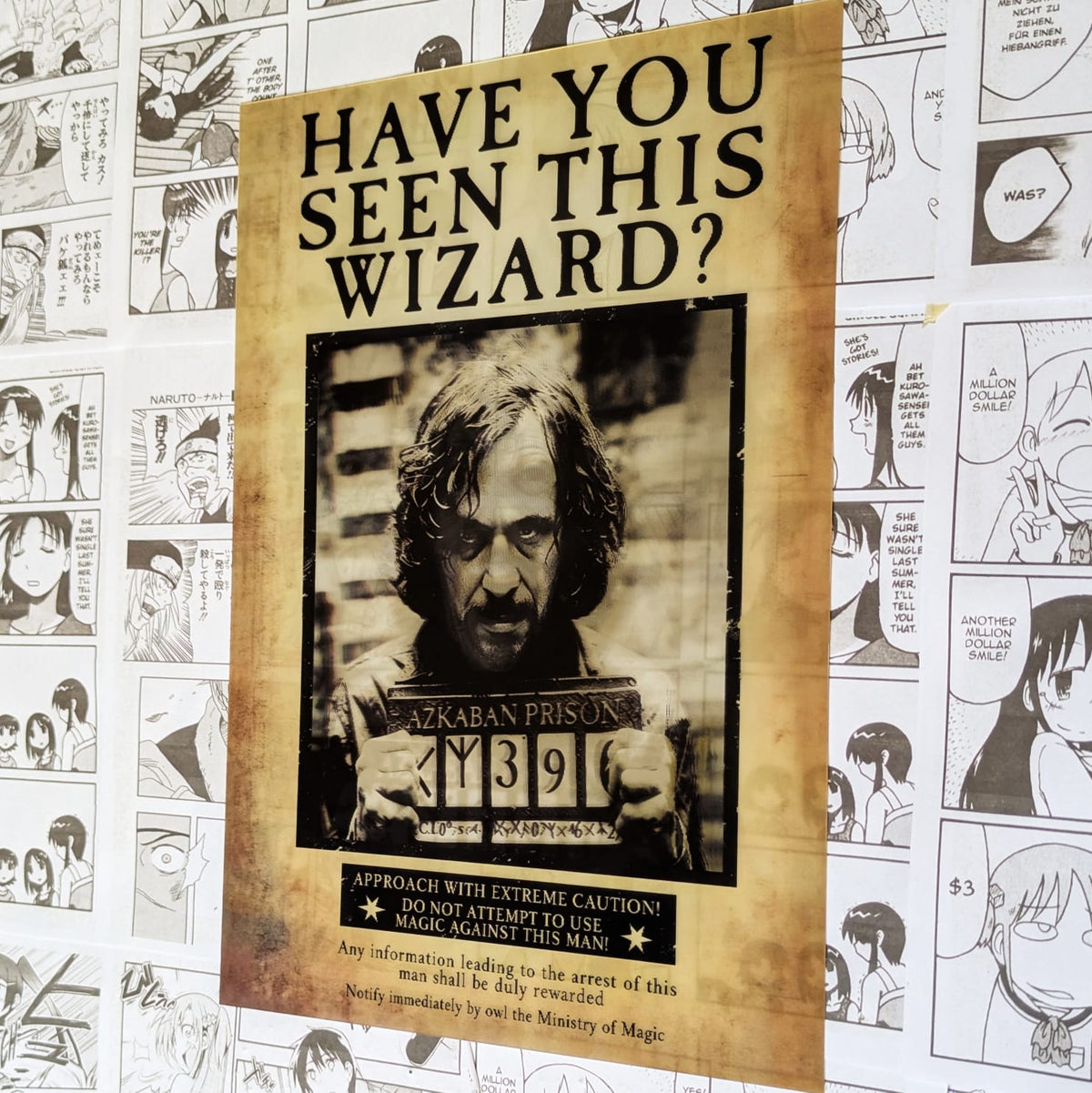 Poster 3D  Sirius Black