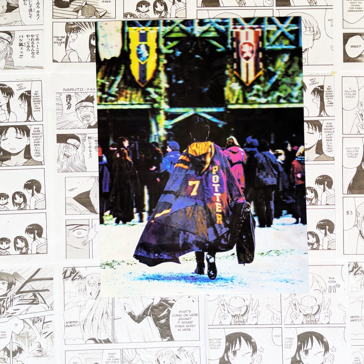 Poster 3D Harry Potter Serie 2