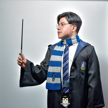 Capa Ravenclaw