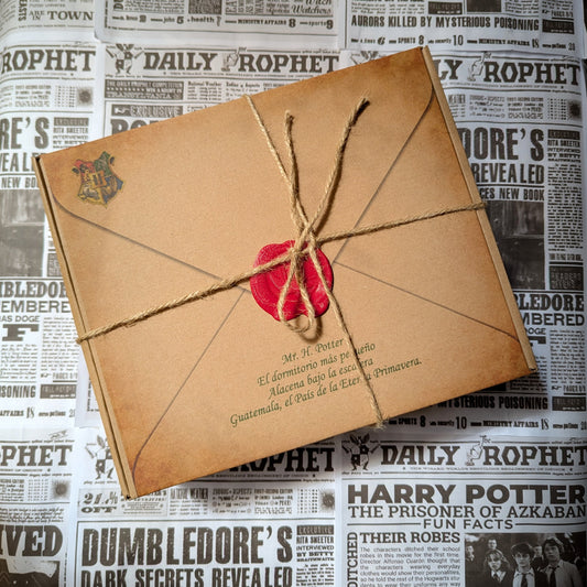 Combo Caja Harry Potter